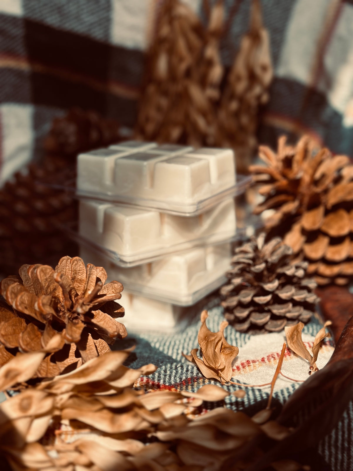 Wax melt Canela y manzana