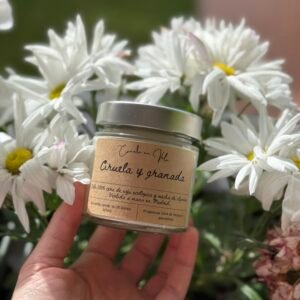 Vela Ciruela y granada (Tarro 150gr)